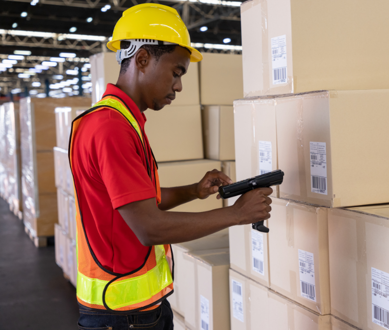 How Green Pacific Redefines Supplier Auditing and Logistics